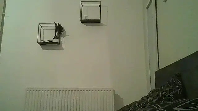 smartfuck777 webcam