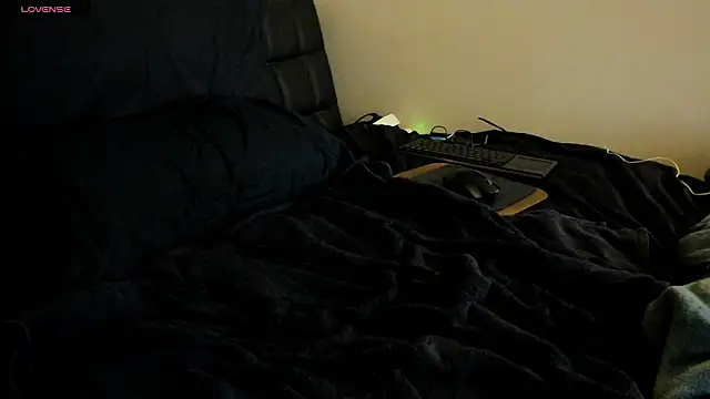 toolmaster2000 webcam