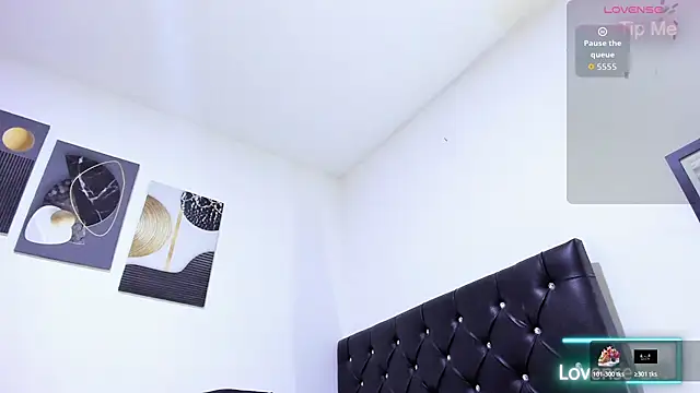 Sebastian-Dash webcam