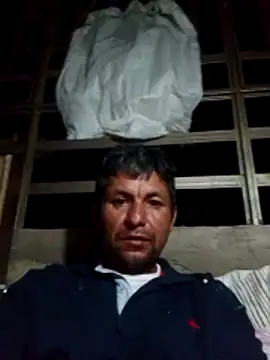 TattyFoxglove webcam