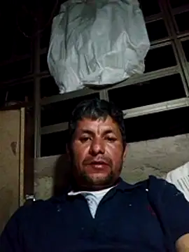 TattyFoxglove webcam