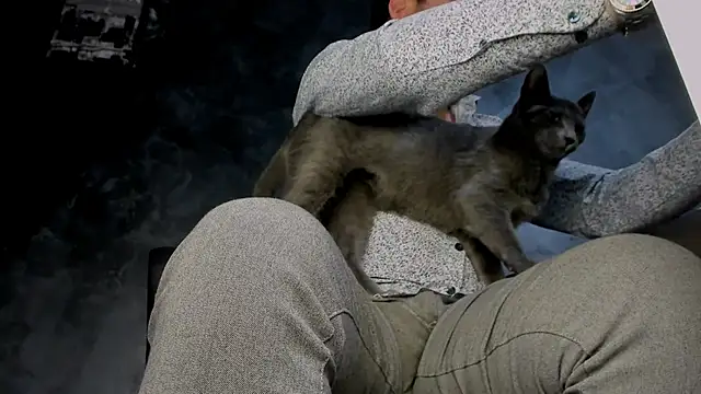 Master_Mark_Wayne webcam