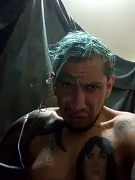 destroassbig2 webcam