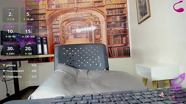 britanny_noroeste webcam