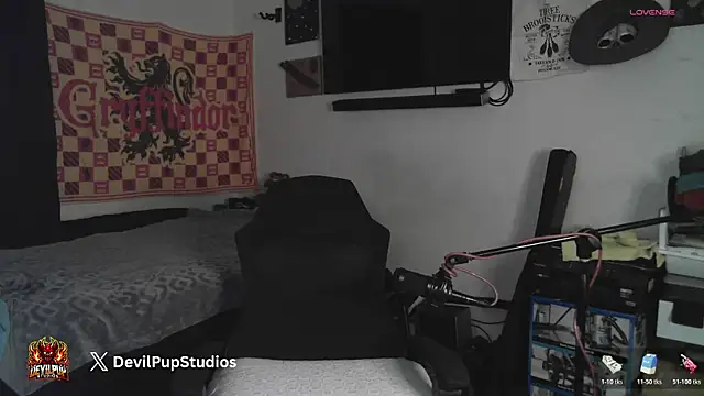 DevilPup75_ webcam