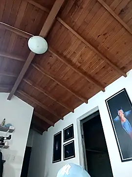 silvabranko - SilvaBranko's free webcam