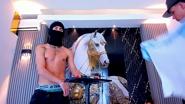 the_knights_of_the_night webcam