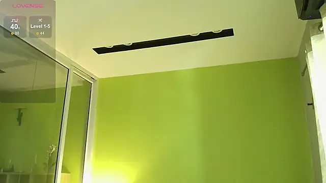 sadetuiningaa webcam