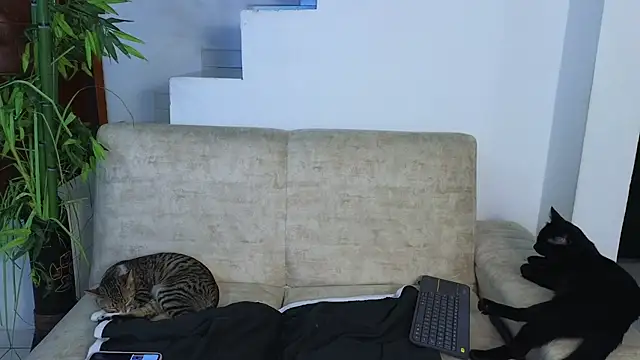 Lorenne_Miller webcam