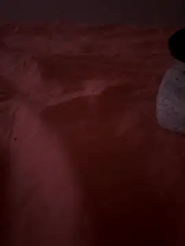 curis4270panda webcam