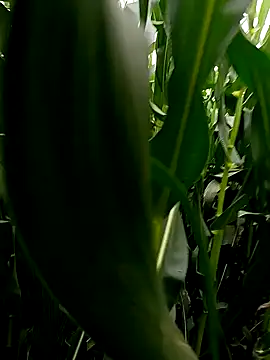 loki-king-143 webcam