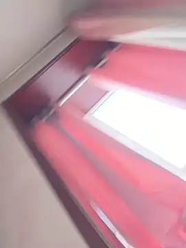 美女wy2026在线直播