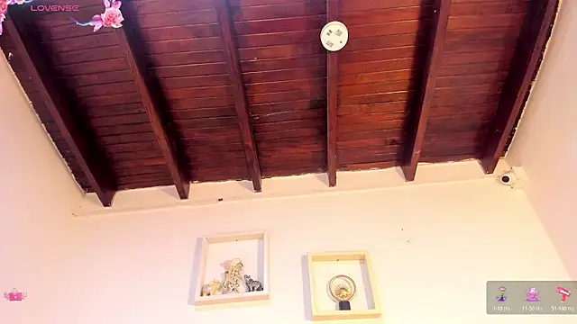 vahiolet_fuentes webcam