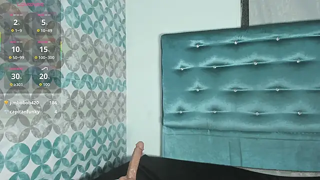 Tamaramilleer webcam