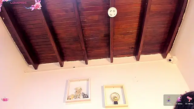 vahiolet_fuentes webcam