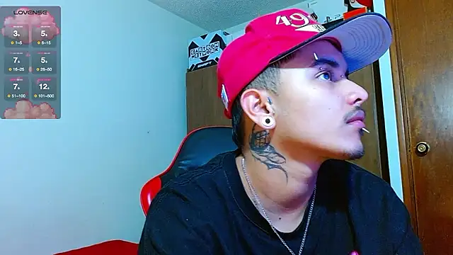 Hgp3riodictabl3 webcam