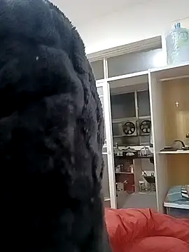 yjw6688 (M mature) - #anal #cam2cam #cheap-privates #chinese #chunky #colorful #handjob #mature #mobile #new #queer #small-audience #straight #swallow #white