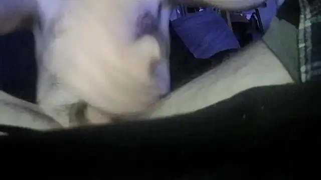 Tiggitytomociti webcam