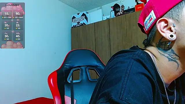 Hgp3riodictabl3 webcam