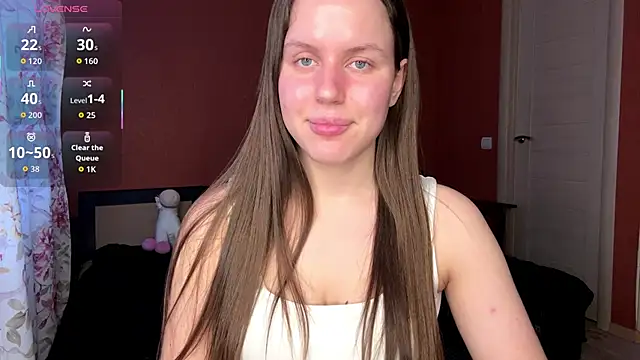 SanoraVillnave webcam