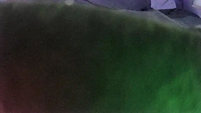 Tiggitytomociti webcam