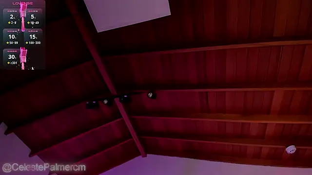 CelestePalmer_ webcam