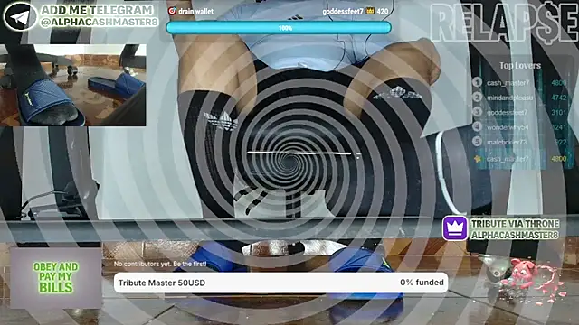 alphacashmaster8 webcam