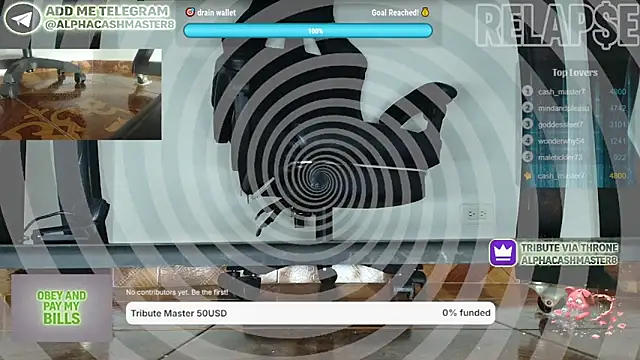 alphacashmaster8 webcam