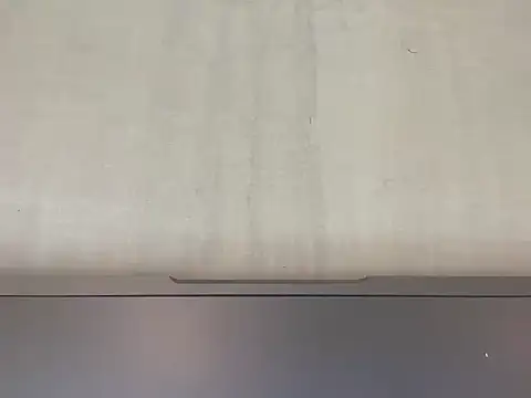 black_mushroom webcam