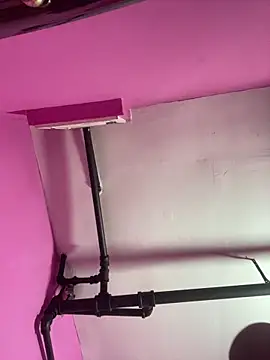 islandvybee55 webcam