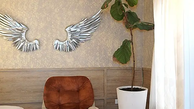 Ethan_occonor webcam