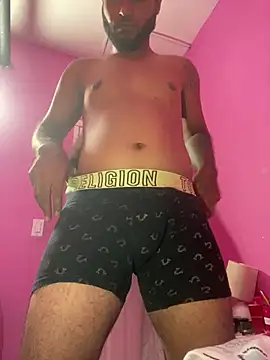 islandvybee55 webcam