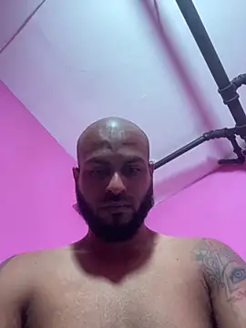 islandvybee55 webcam