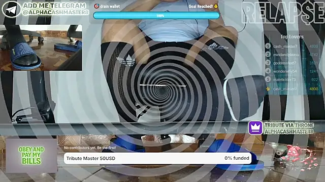 alphacashmaster8 webcam