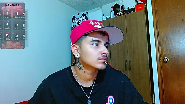 Hgp3riodictabl3 webcam