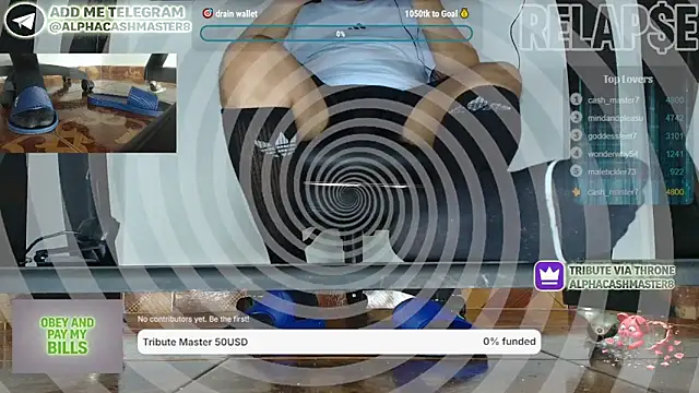 alphacashmaster8 webcam