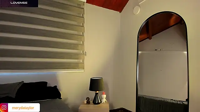 MERIDA_TAYLOR webcam