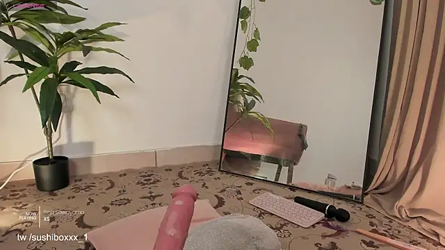 sushiboxxx webcam