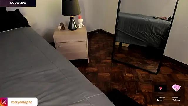 MERIDA_TAYLOR webcam