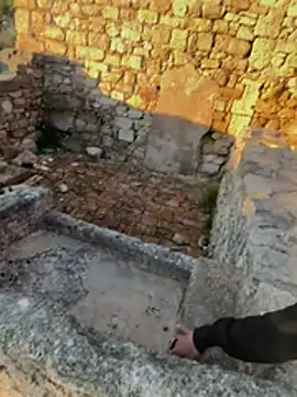 Amani_thewolf webcam