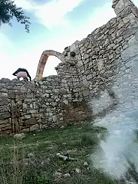 Amani_thewolf webcam