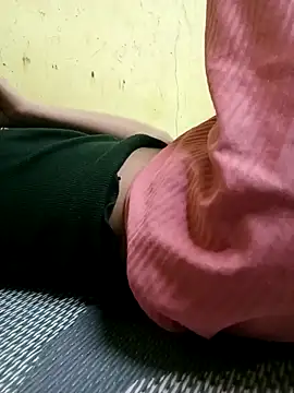 silverworm2026 webcam