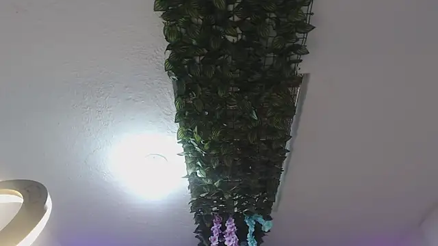 adara_cute_69 webcam