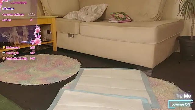 Milky_flexy_cat webcam