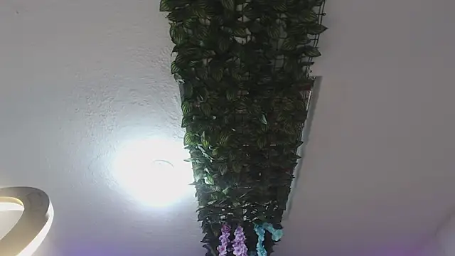 adara_cute_69 webcam