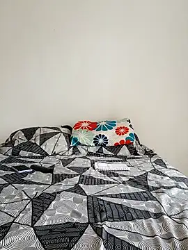 LEIRIS_Y_FRED_01 webcam