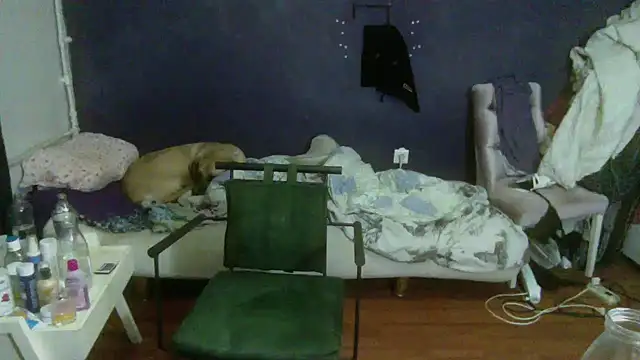 turkishTransEfsun webcam