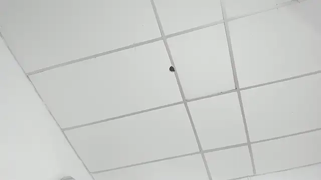 Aisha_violeht webcam