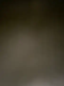 Anjinhavagabunda webcam