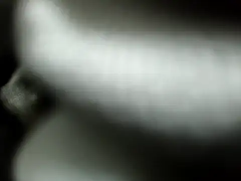 _stripchat_owner_ - _Stripchat_Owner_'s free webcam